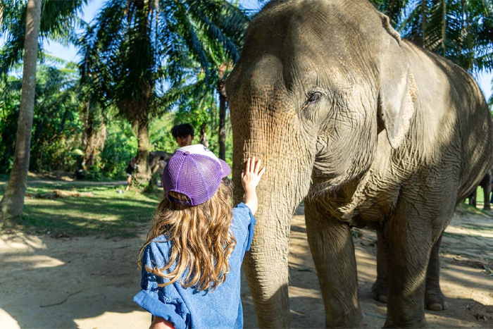 Visit an elephant sanctuary: one of best things to do in Kanchanaburi