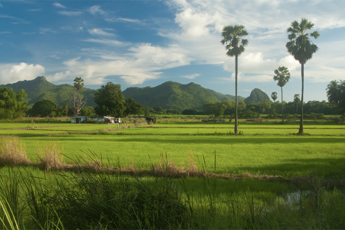 Explore the countryside of Kanchanaburi