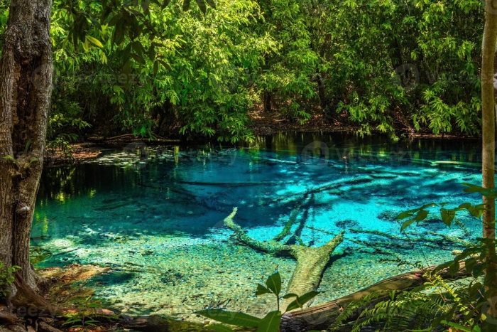 Emerald Lake in Krabi