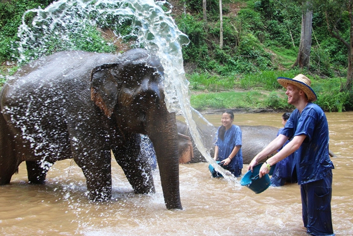 Thailand trip cost 500 USD for 2 people