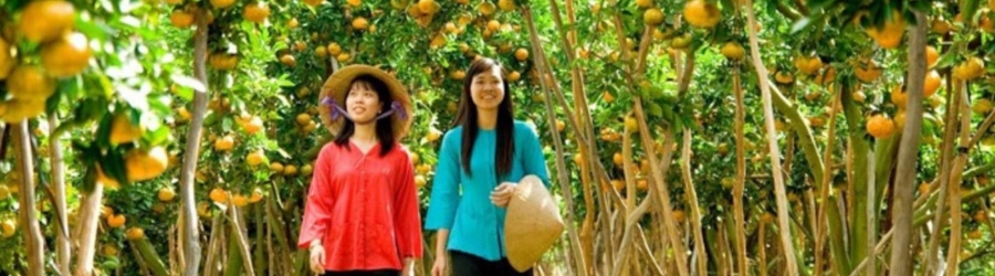 What to do in Can tho ? Ba Cong Can Tho Fruit Garden 