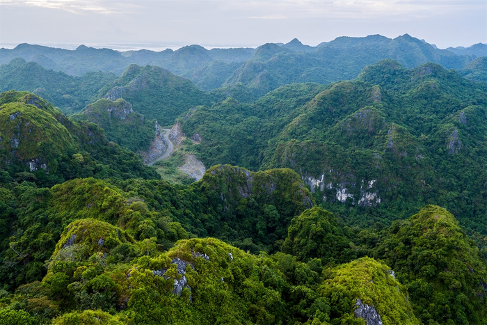 Cat Ba National Park 