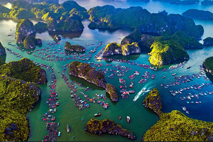 Cái Bèo Fishing Village in Cat Ba