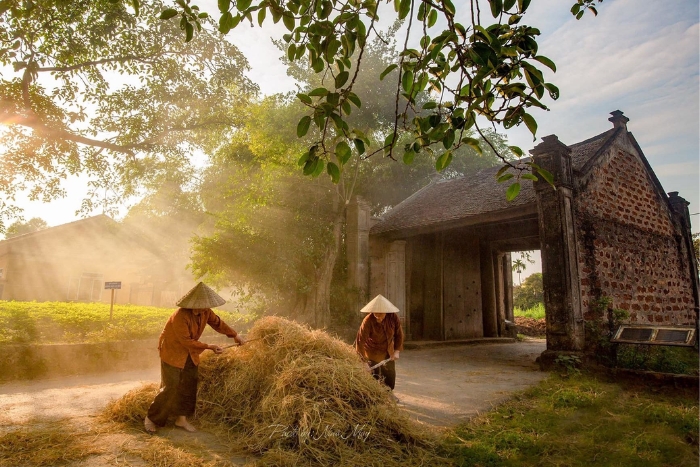 Best time to visit Duong Lam ancient village 