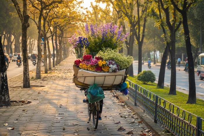 Hanoi weather: The optimal time to visit