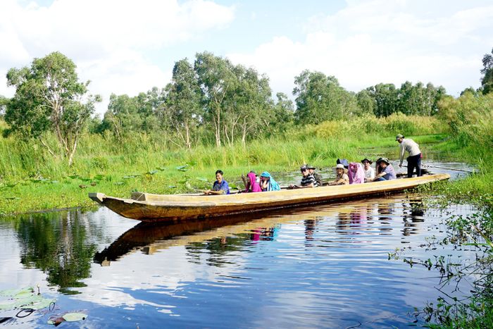 Visit to U Minh Ha forest - one of the unforgettable destinations during 4 days in Ca Mau - Bac Lieu