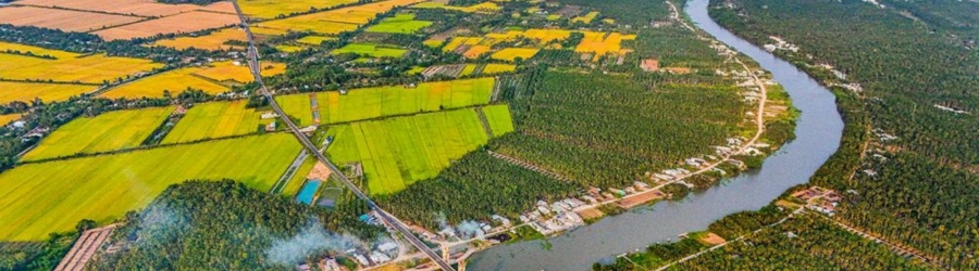 What to do in Mekong? Top 5 floating markets Mekong