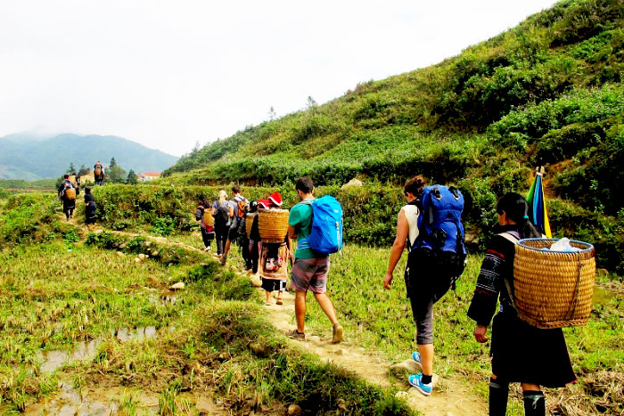 Trekking to Dragon Mountain Sapa