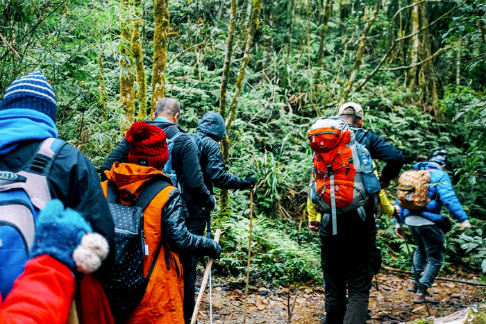 Trek Journey To Fansipan Mountain Sapa