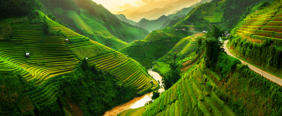 Sapa's terraced fields