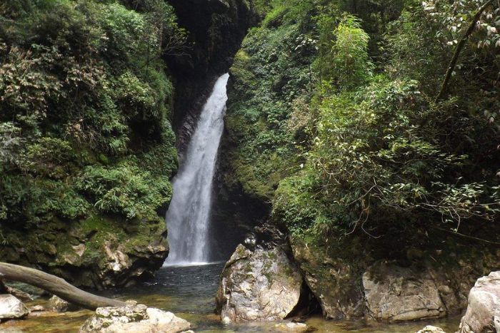 The natural beauty of Sin Chai Village in Sapa