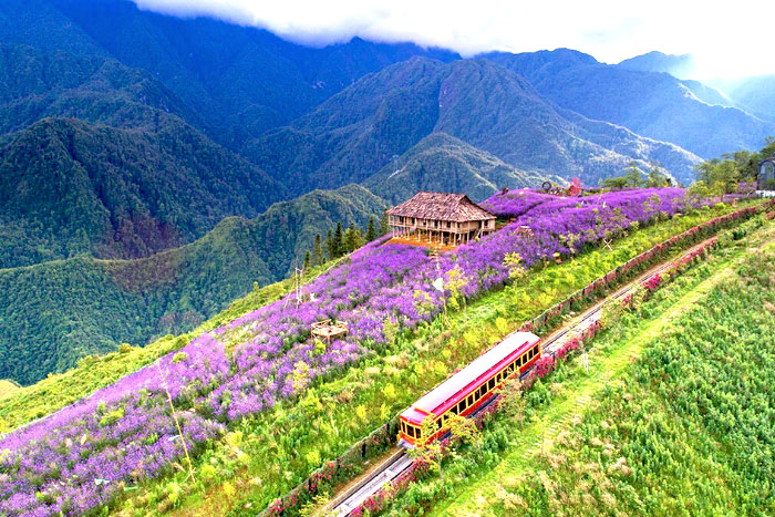 Muong Hoa Valley Sapa Vietnam