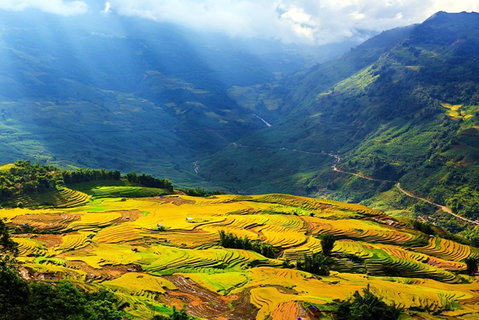 Visit Muong Hoa Valley in Sapa Lao Cai