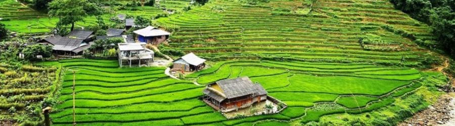 Traveling to Y Linh Ho Village in Sapa, Northern Vietnam