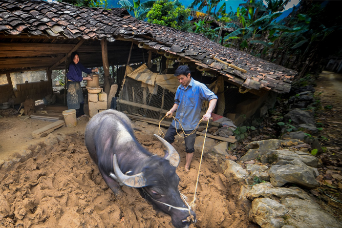 The traditional process of creating yin-yang tiles