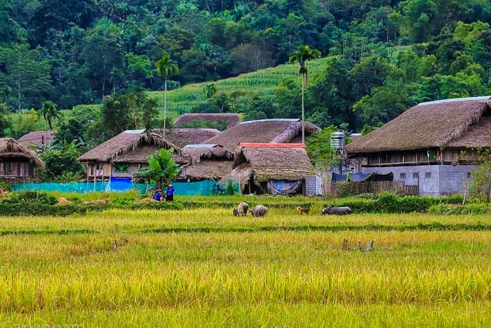 Peaceful beauty of Thon Tha village 