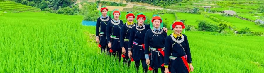 Ha Giang travel itinerary 3 days review by Mr. Faure