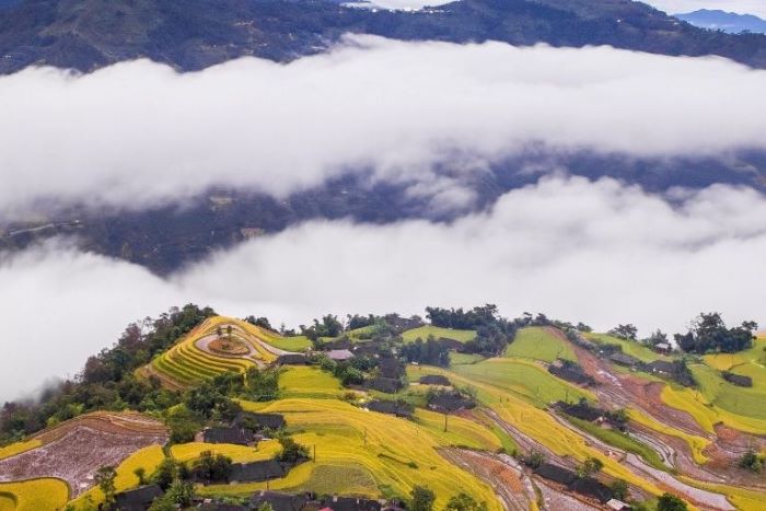 Be amazed by the golden rice terraces during the ripe rice season on a hike in Chieu Lau Thi mountain