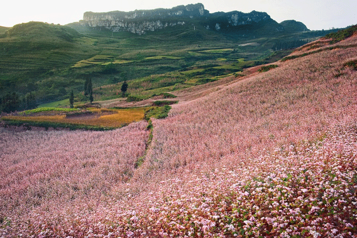 Sung La valley