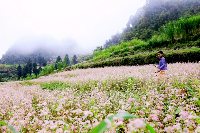 Explore Ha Giang in winter