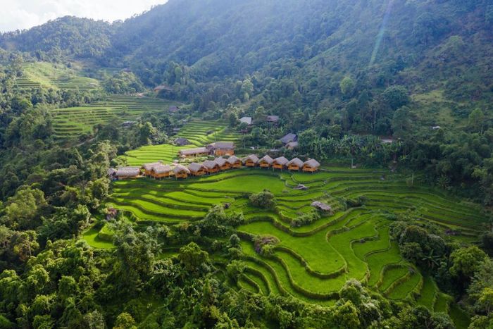 Hoang Su Phi Lodge is situated amidst large rice terraces