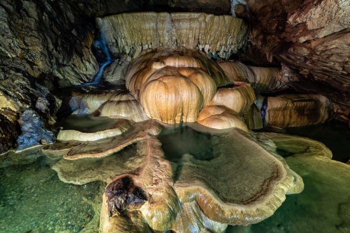 Giant lotus inside Nam Tan cave