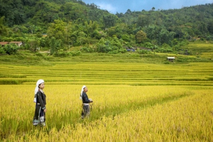 The Dao Ethnic Group in Ho Thau, Ha Giang