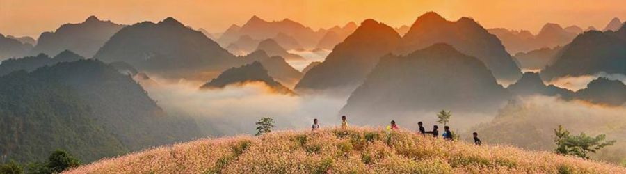 Sung La Valley - Poetic Beauty of Ha Giang