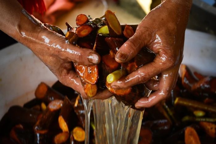 After soaking, the raw materials form an adhesive sap