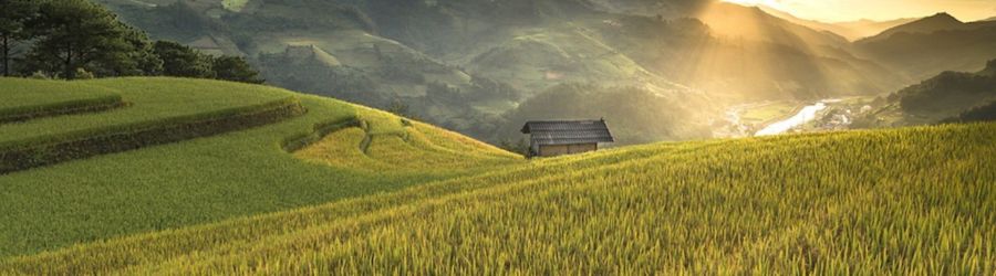 Thong Nguyen Village in Hoang Su Phi, Ha Giang