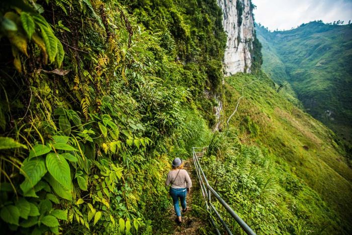 Plant diversity in Ha Giang