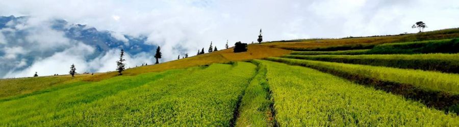 Trekking in Ha Giang, northern Vietnam is a must for adventurous travelers