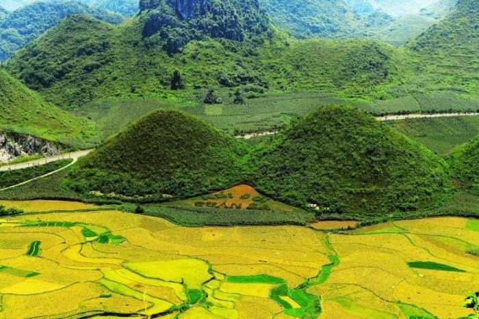 Quan Ba Twin Mountain in autumn - the season of ripe rice in Ha Giang