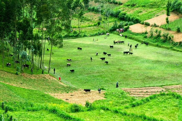 Lao Chai Village in Ha Giang