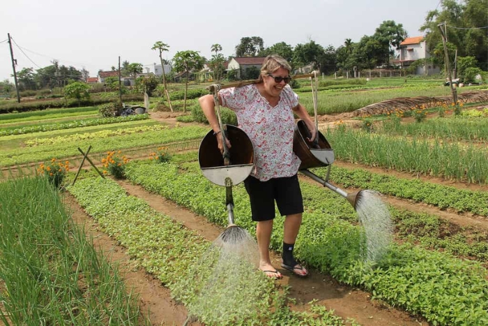 Experience practical vegetable care