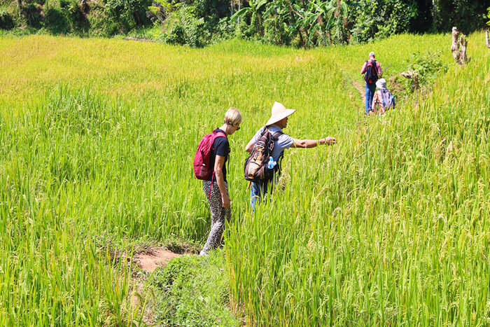 Treks in Mai Chau