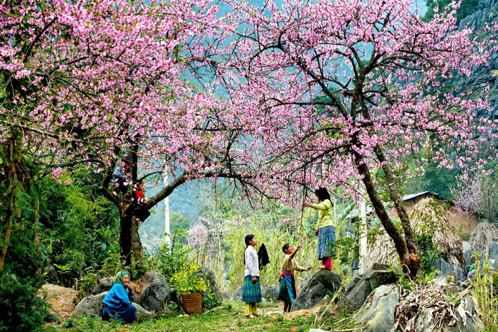 The white Thai ethnic group in Mai Chau, Vietnam