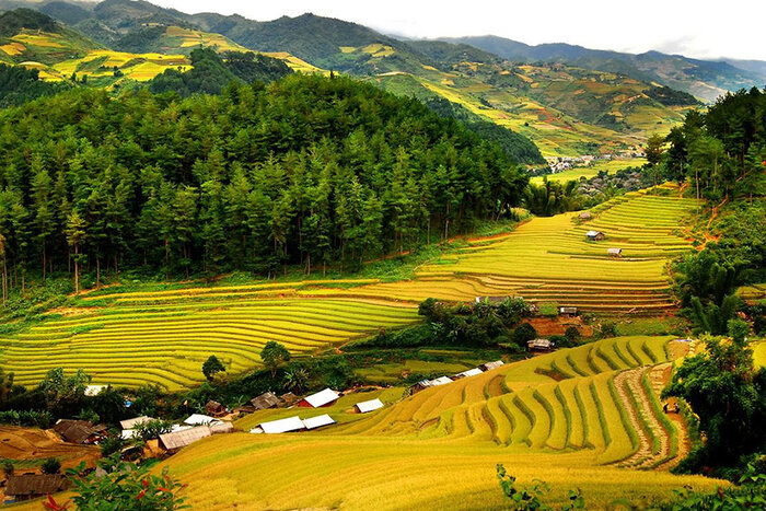 Mai Chau