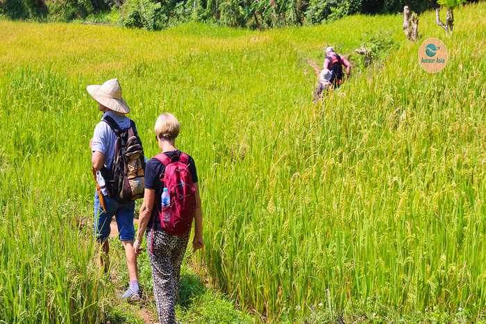 Mai Chau