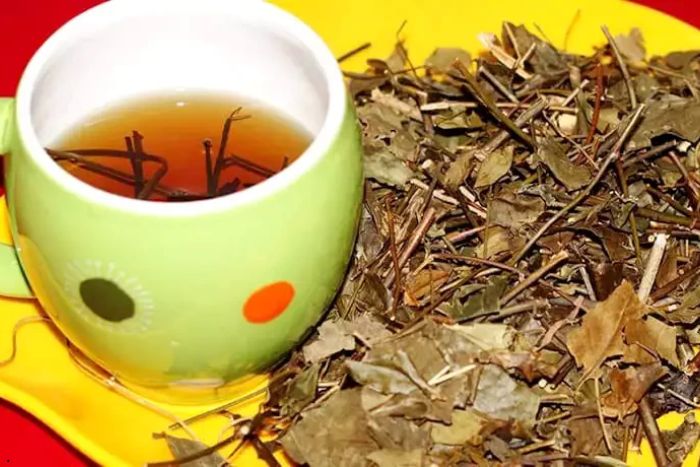 Herbal Tea – A Top Souvenir from Mai Chau