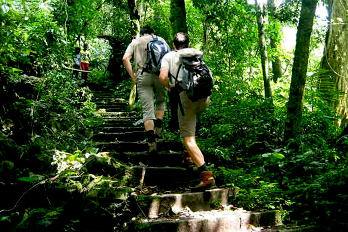 Trekking in Cuc Phuong 