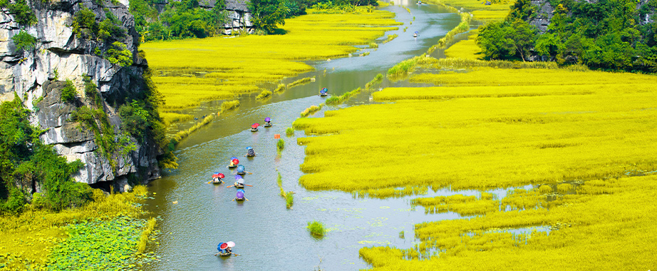 Sampan cruise in Tam Coc