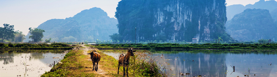 Food & drink in Ninh Binh