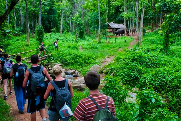 Hiking in Ninh Binh: To become one with nature