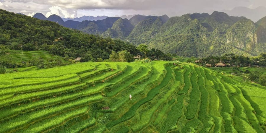 Terraces in Pu Luong