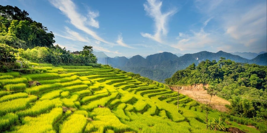 Terraces in Pu Luong