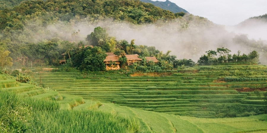 Morning mist scene in Pu Luong