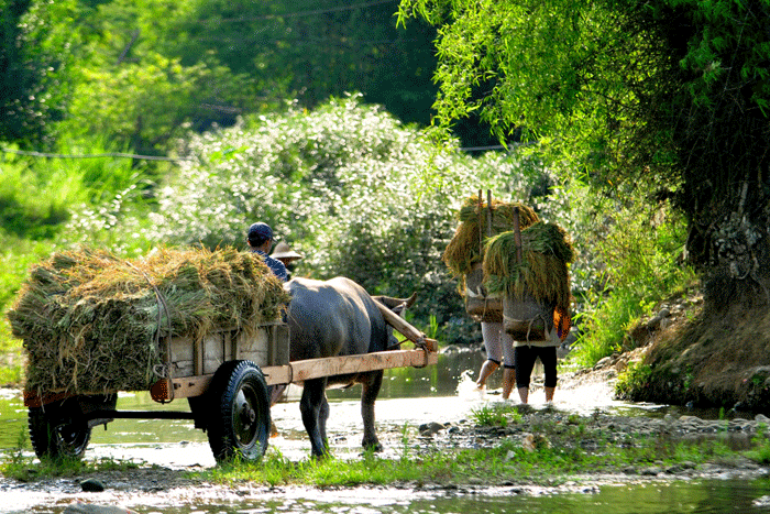 Son-Ba-Muoi villages