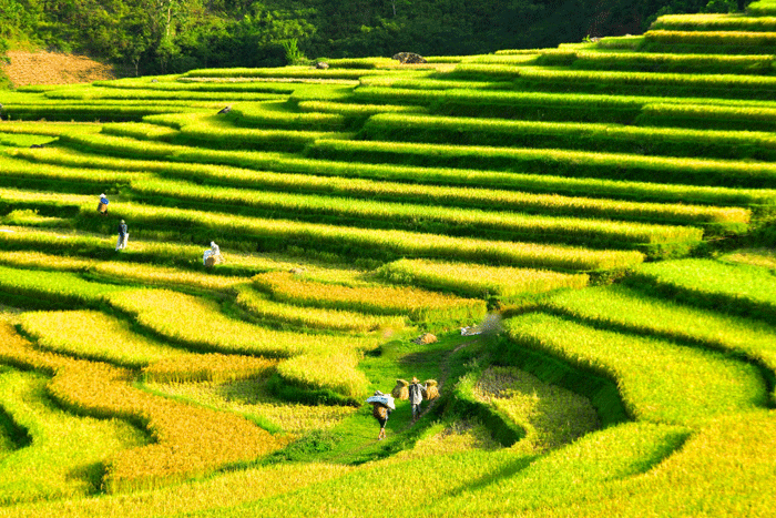 Best time to visit Don village Pu Luong