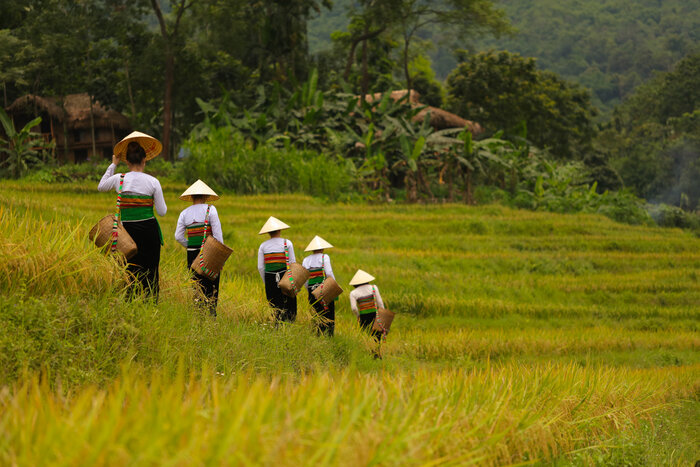 Thai ethnic minority in Don village